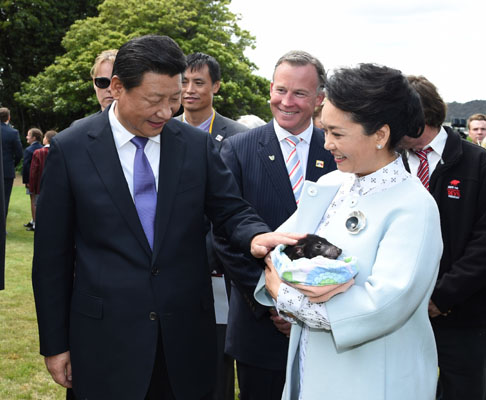 11月18日，國家主席習近平在澳大利亞塔斯馬尼亞州與朗塞斯頓市斯科奇－歐克伯恩小學的小學生共同植樹。這是習近平和夫人彭麗媛植樹后撫摸袋獾。新華社記者 馬占成 攝