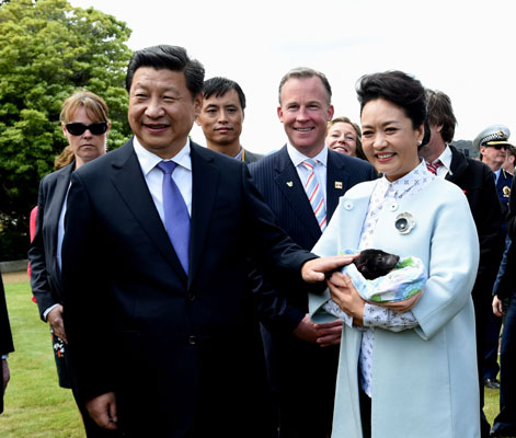 11月18日，國家主席習近平在澳大利亞塔斯馬尼亞州與朗塞斯頓市斯科奇－歐克伯恩小學的小學生共同植樹。這是習近平和夫人彭麗媛植樹后撫摸袋獾。新華社記者 饒愛民 攝