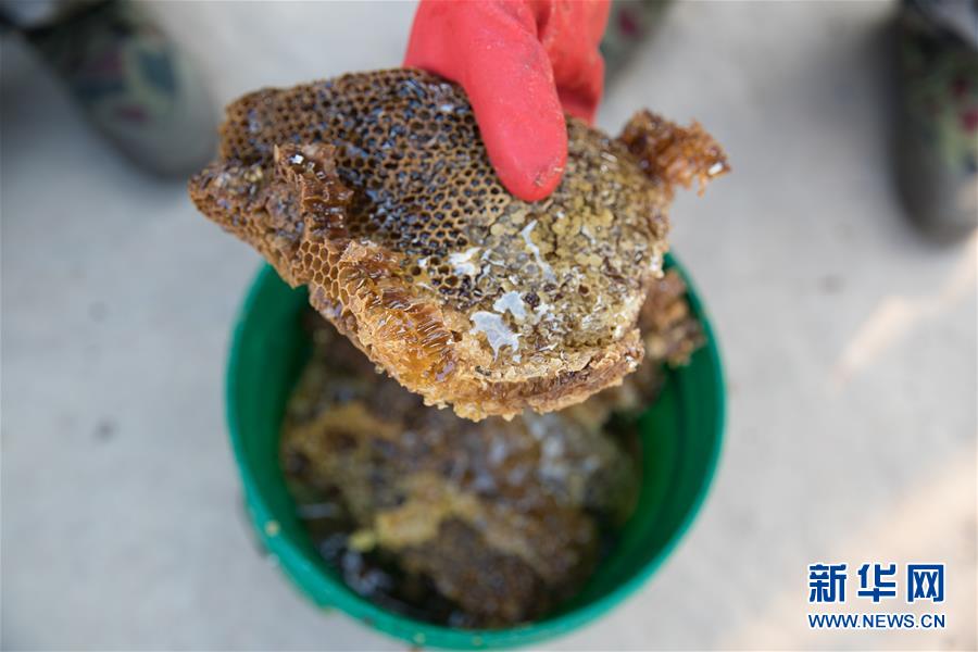 (國際·聚焦進口博覽會·圖文互動)(7)通訊:贊比亞蜂蜜企業欲借進博會開拓中國市場