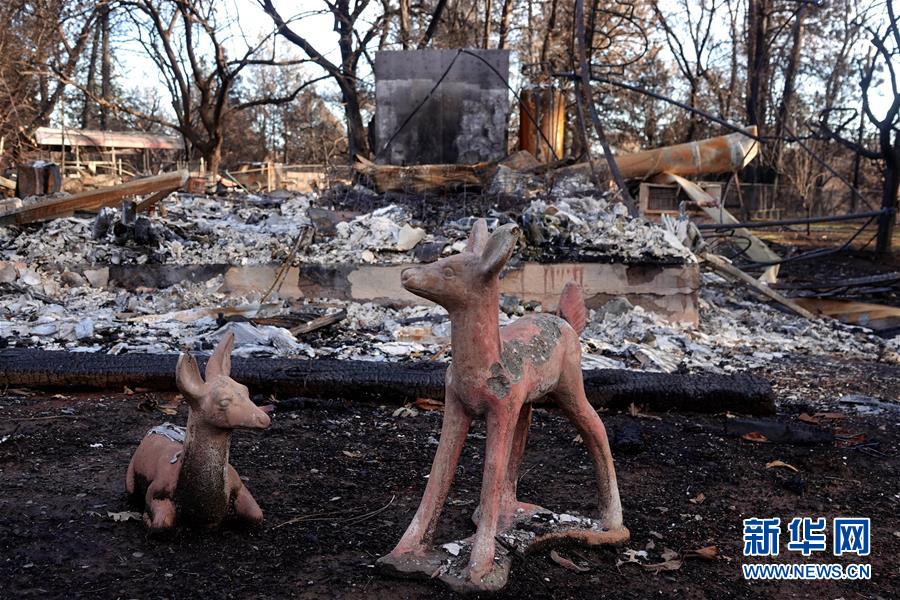 （國際·圖文互動）（6）一場山火，讓這個冬天格外冷——探訪美國加州山火災(zāi)區(qū)