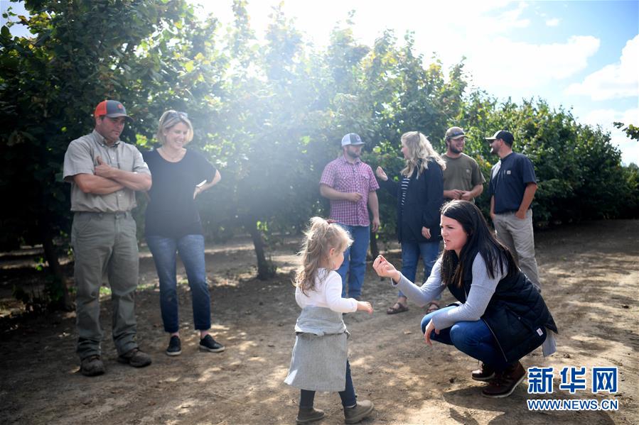 (國際·圖文互動)(1)“這些樹寄托著我們對中國市場的信心”——探訪美俄勒岡州榛子果農