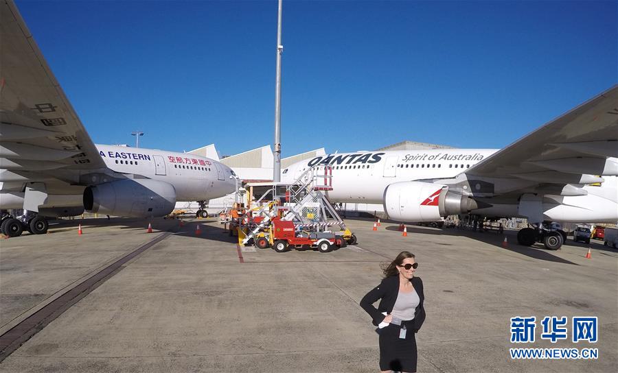 (國際·“一帶一路”高峰論壇·圖文互動)(3)不能錯失的機遇和紅利——澳大利亞商界看好“一帶一路”合作