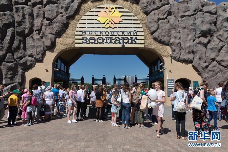 (習近平出訪配合稿·圖文互動)(1)通訊:“友誼使者”中國大熊貓入住莫斯科新家