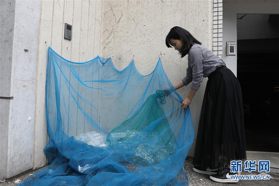 (國(guó)際)(2)在國(guó)外,垃圾如何分類(lèi)