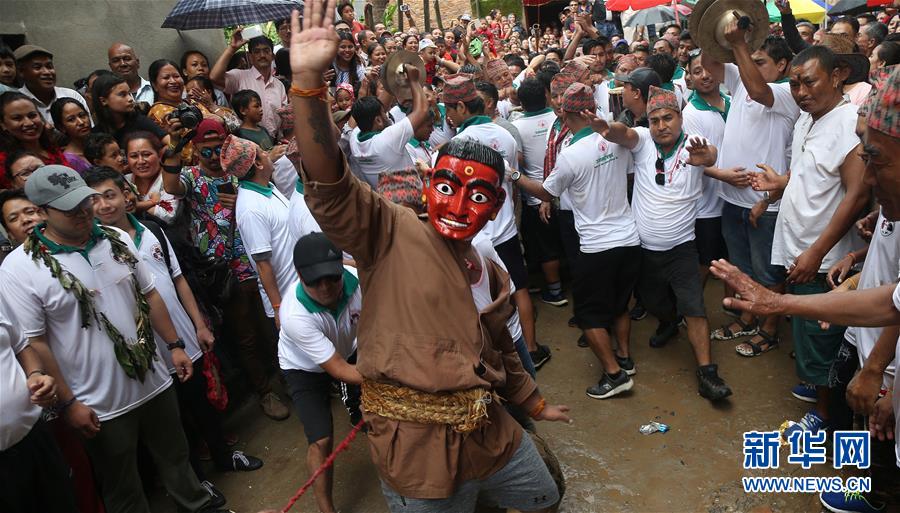 （國際）（5）尼泊爾慶祝神牛節