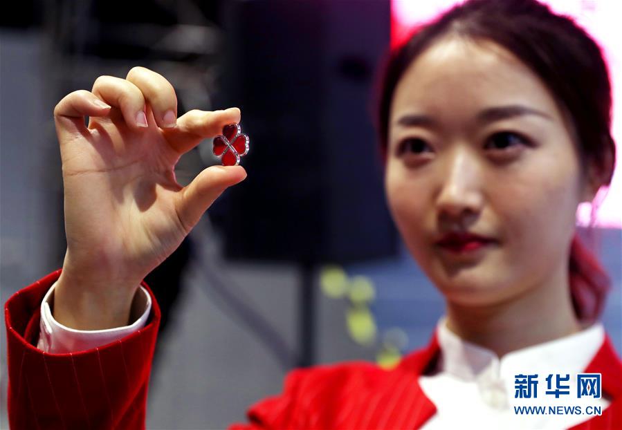 (社會)(5)5000余名第二屆進博會志愿者宣誓上崗