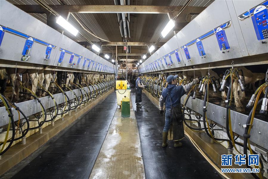 （國際&middot;圖文互動）（3）通訊：&ldquo;希望我們的乳制品順利裝船駛向中國&rdquo;&mdash;&mdash;美國奶農期盼中美貿易爭端早日解決