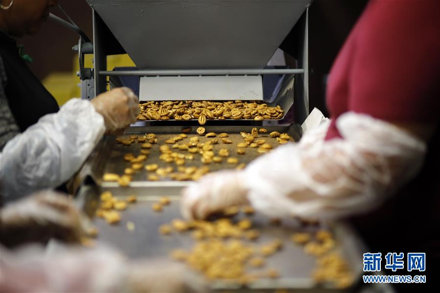 （國際·圖文互動）（8）通訊：期待美中盡早達成貿易協議——颶風和關稅夾擊下的美國山核桃種植戶盼重回中國市場