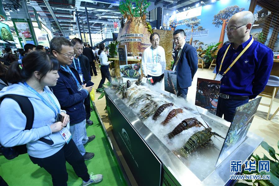 （新華全媒頭條·圖文互動(dòng)）（2）中國市場 世界共享——進(jìn)博會勾勒共贏畫卷