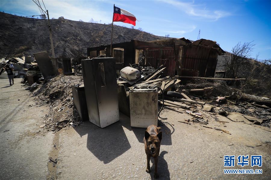 (國際·圖文互動)(1)智利瓦爾帕萊索森林大火殃及200多所房屋