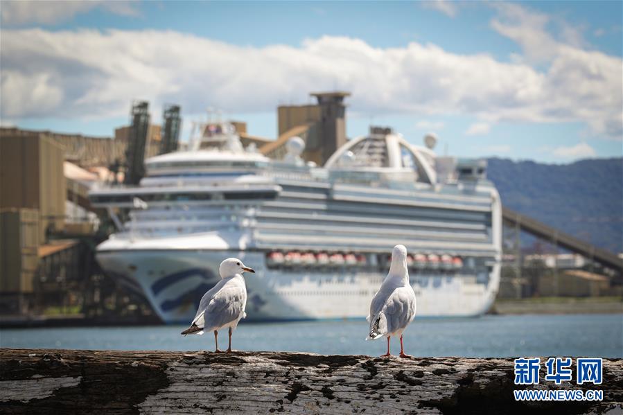 (國際疫情)(2)澳警方對“紅寶石公主”號郵輪展開刑事調查