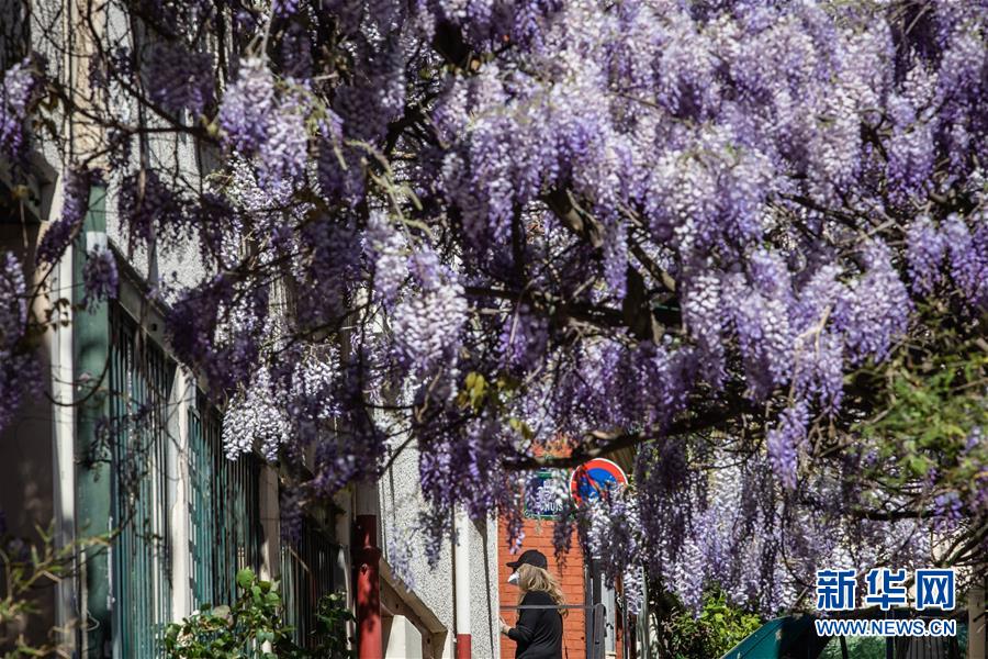 (國際疫情)(2)法國新冠患者住院人數首次出現下降