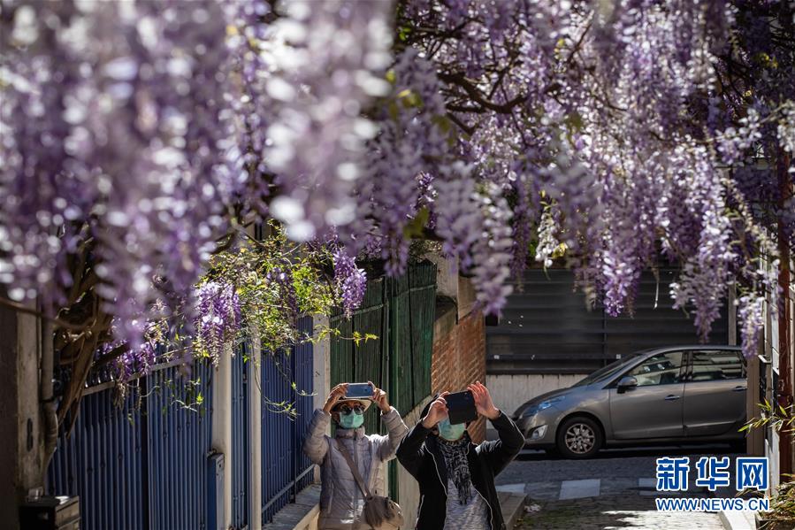 (國際疫情)(3)法國新冠患者住院人數首次出現下降