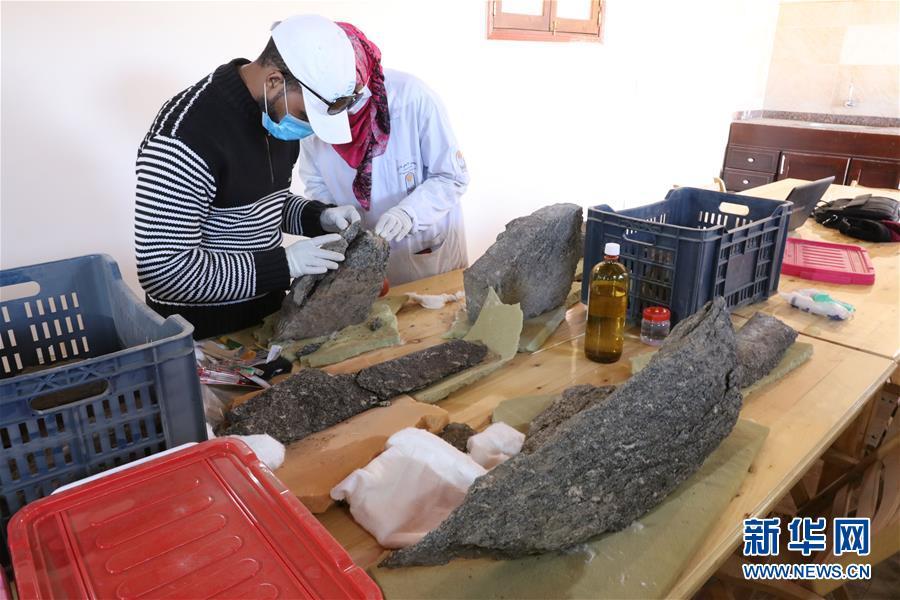 (國際·圖文互動)(4)疫中考古——中國與埃及首次聯合考古取得階段性成果