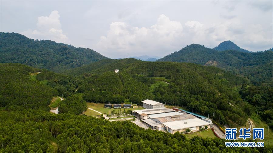 （第三屆進(jìn)博會·圖文互動）（1）專訪：進(jìn)博會提供了一個共享中國發(fā)展機(jī)遇的平臺