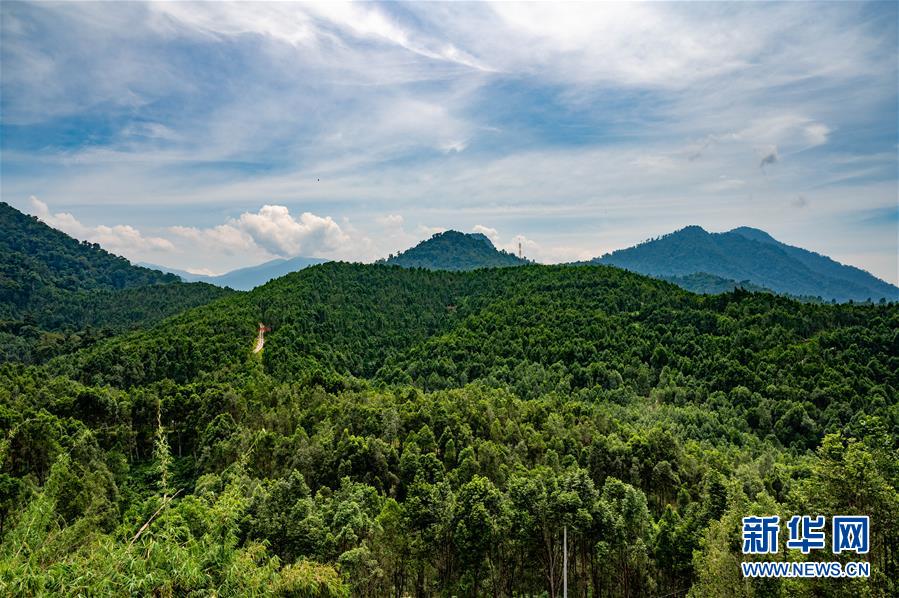 （第三屆進(jìn)博會·圖文互動）（2）專訪：進(jìn)博會提供了一個共享中國發(fā)展機(jī)遇的平臺