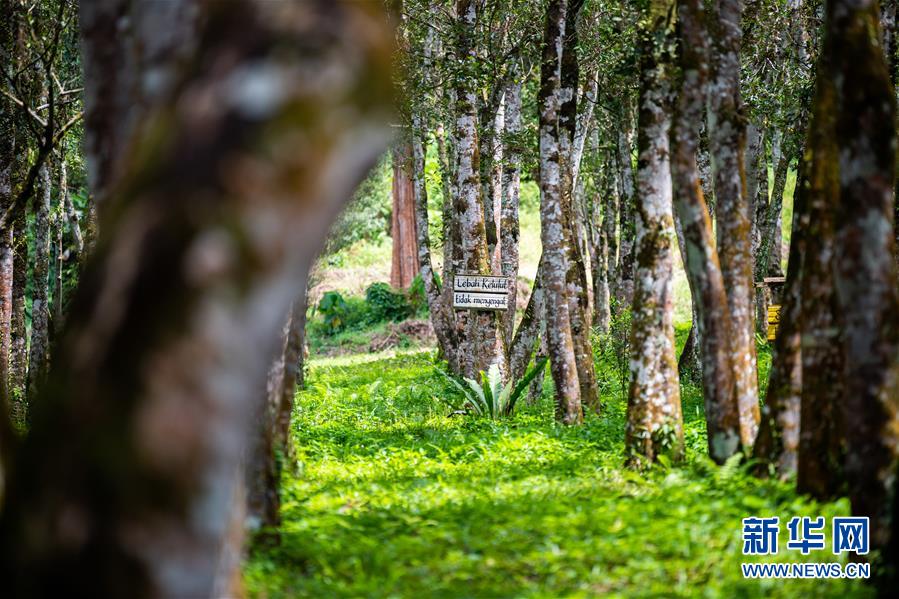 （第三屆進(jìn)博會·圖文互動）（3）專訪：進(jìn)博會提供了一個共享中國發(fā)展機(jī)遇的平臺