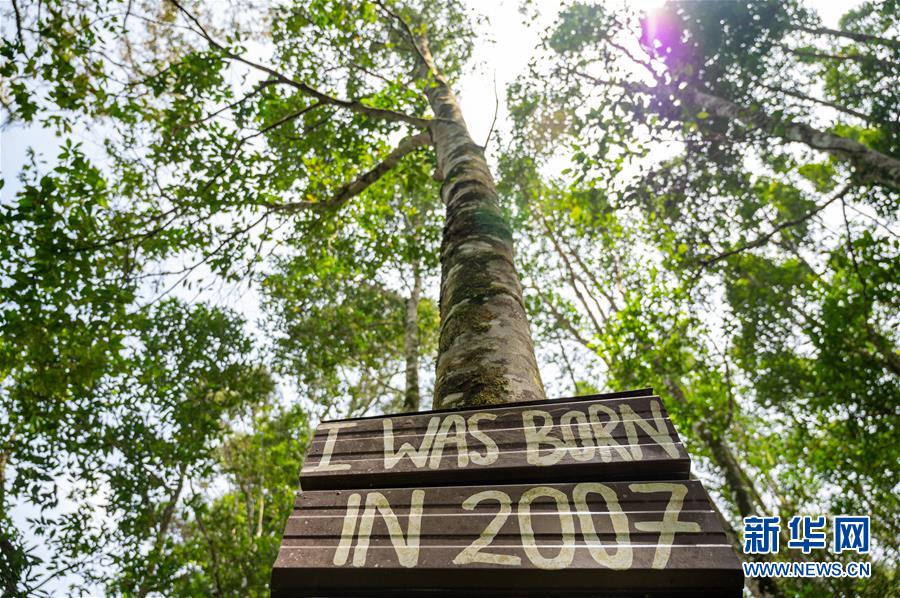 （第三屆進(jìn)博會·圖文互動）（4）專訪：進(jìn)博會提供了一個共享中國發(fā)展機(jī)遇的平臺