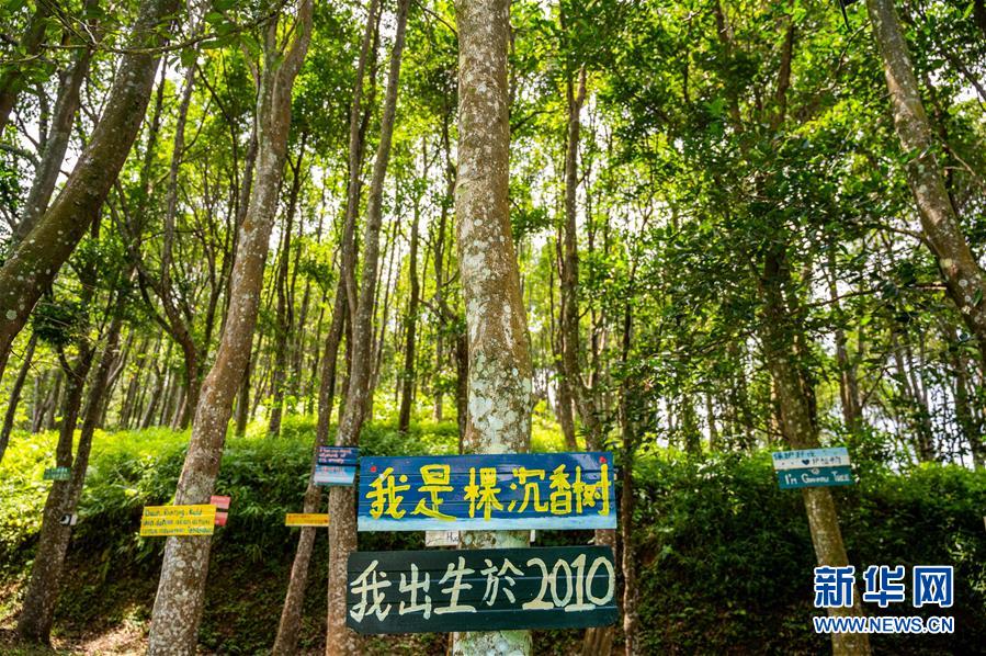 （第三屆進(jìn)博會·圖文互動）（10）專訪：進(jìn)博會提供了一個共享中國發(fā)展機(jī)遇的平臺