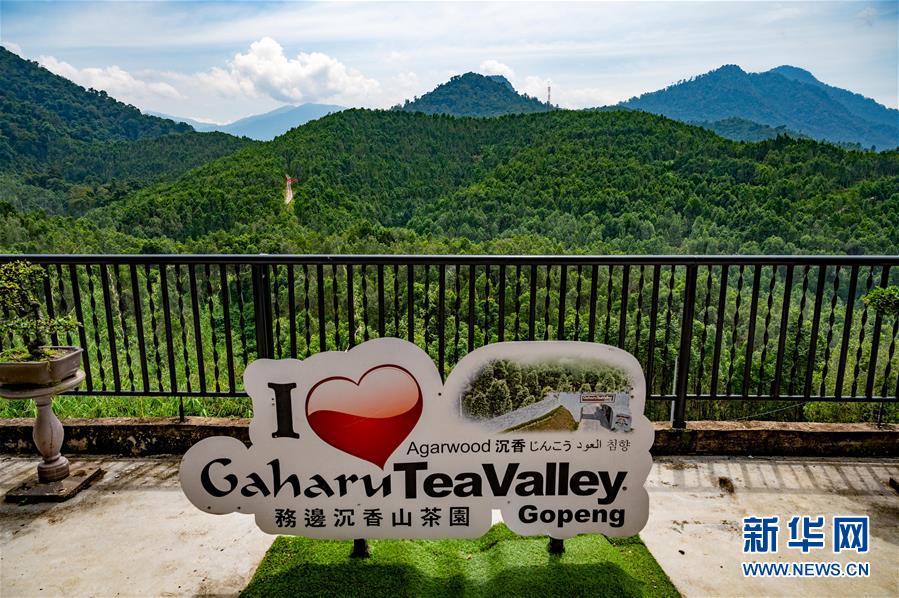 （第三屆進(jìn)博會·圖文互動）（11）專訪：進(jìn)博會提供了一個共享中國發(fā)展機(jī)遇的平臺