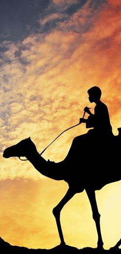 鐘四遠：絲綢之路中亞拾遺